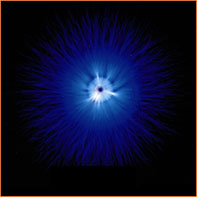 Kirlian Fotografie: Bild Nr. 3 Kirlian Fotografie: Bild Nr. 3